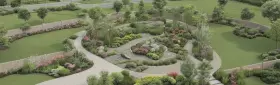 Кустарники для рокариев для стильного сада