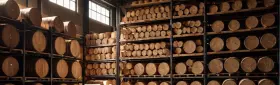 Морилки для внутренних и наружных работ высокого качества